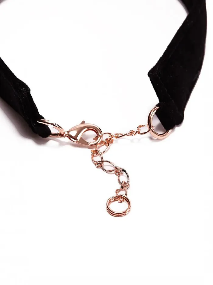 Vibrators | Ann Summers Velvet Collar And Lead